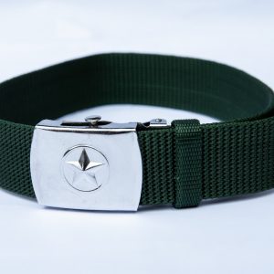 DDE3001